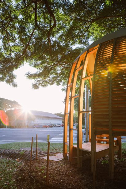 Albizia low-cost housing by Joey Valenti