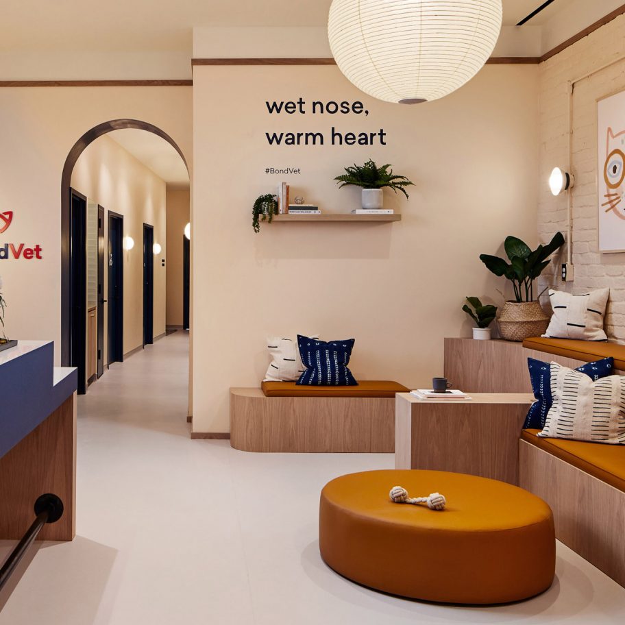 Bond Vet by Islyn Studio