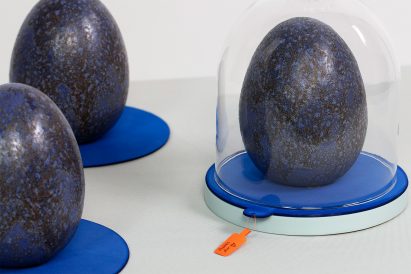 Ege Kökel's de-extinction project imagines a world with dodos as pets