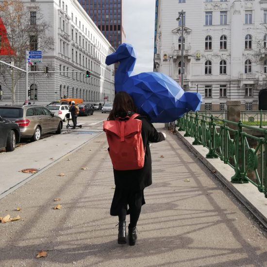 Ege Kökel's de-extinction project imagines a world with dodos as pets