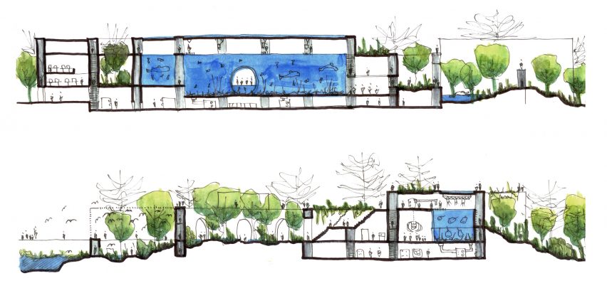 Mazatlán Aquarium by Tatiana Bilbao sketch section