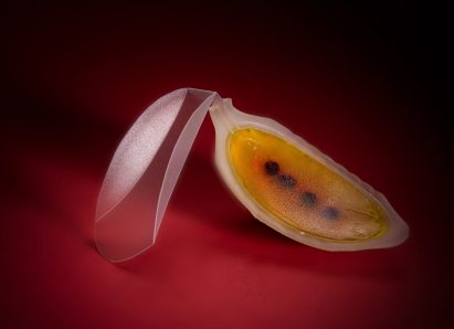 Meydan Levy 4D-prints edible fruit using cellulose and nutrient liquids