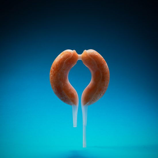 Meydan Levy 4D-prints edible fruit using cellulose and nutrient liquids