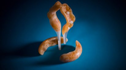 Meydan Levy 4D-prints edible fruit using cellulose and nutrient liquids