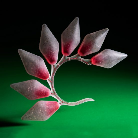 Meydan Levy 4D-prints edible fruit using cellulose and nutrient liquids