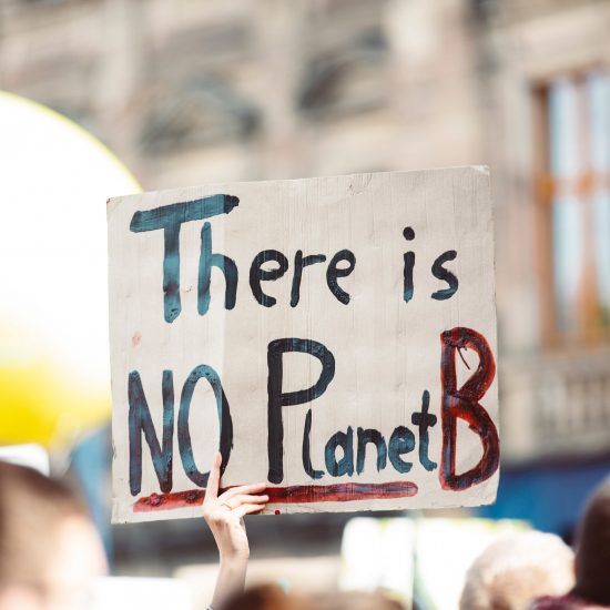 Photo of climate protests in Schlossplatz