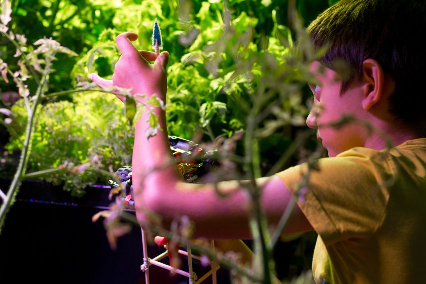 Mitigation of Shock by Superflux planting