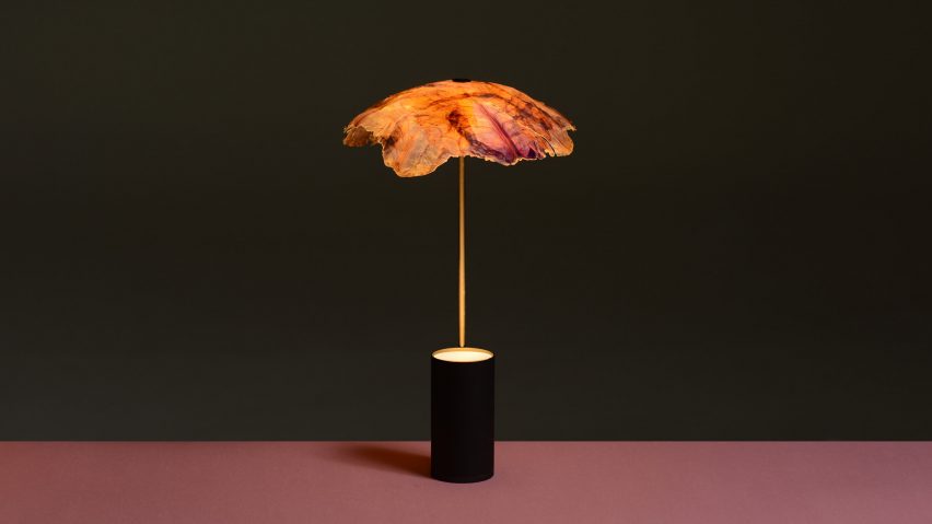 Nir Meiri turns cabbage into Veggie Lights with veiny, paper-like shades