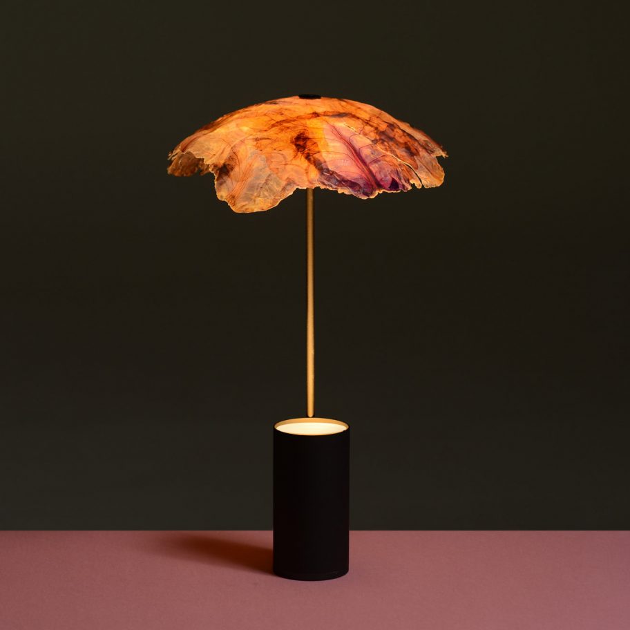 Nir Meiri turns cabbage into Veggie Lights with veiny, paper-like shades