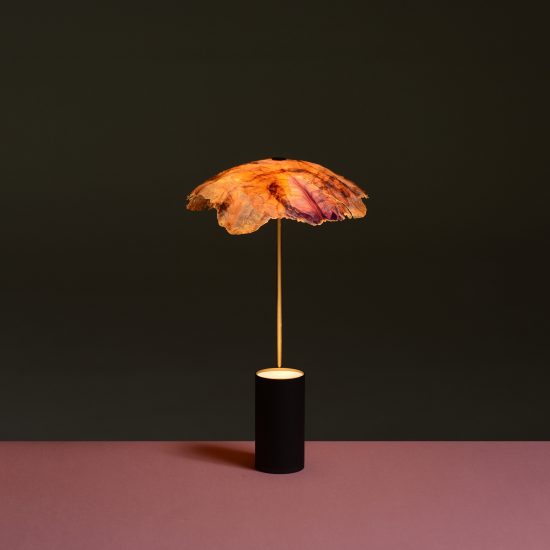 Nir Meiri turns cabbage into Veggie Lights with veiny, paper-like shades