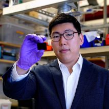 MIT aeroplane nanotube