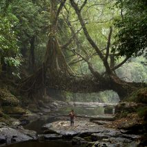 The World Around architecture forum