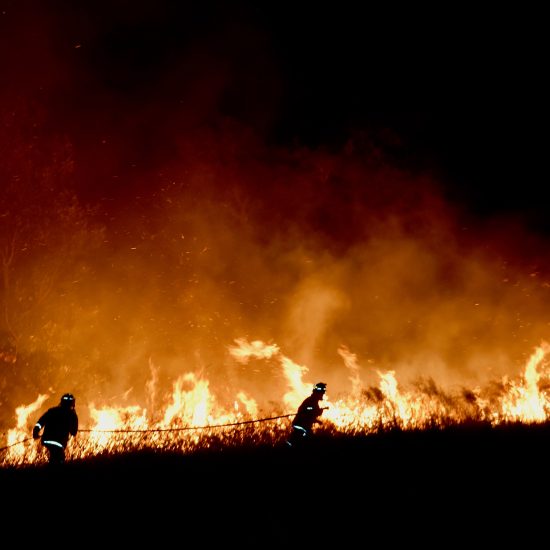 Architects Assist: Australia bush fires