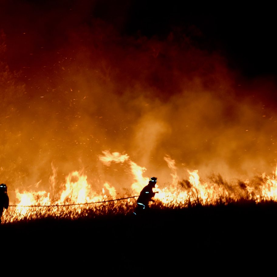 Architects Assist: Australia bush fires