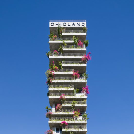 Chicland by Vo Trong Nghia