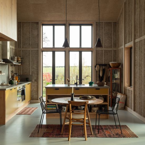 Top 10 British architecture projects of 2020: Flat House on Margent Farm, Cambridgeshire by Practice Architecture