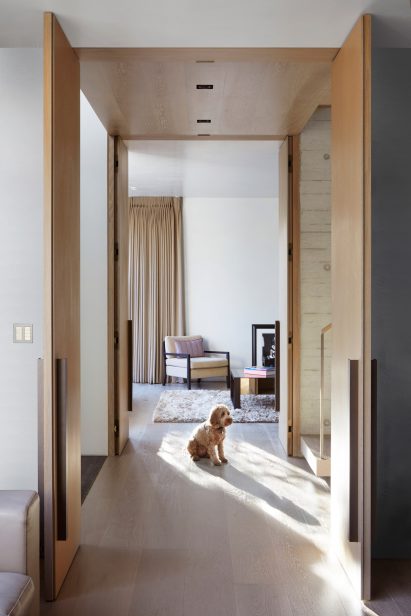 Kenwood Lee House by Cousins & Cousins (RIBA house of the year longslist)