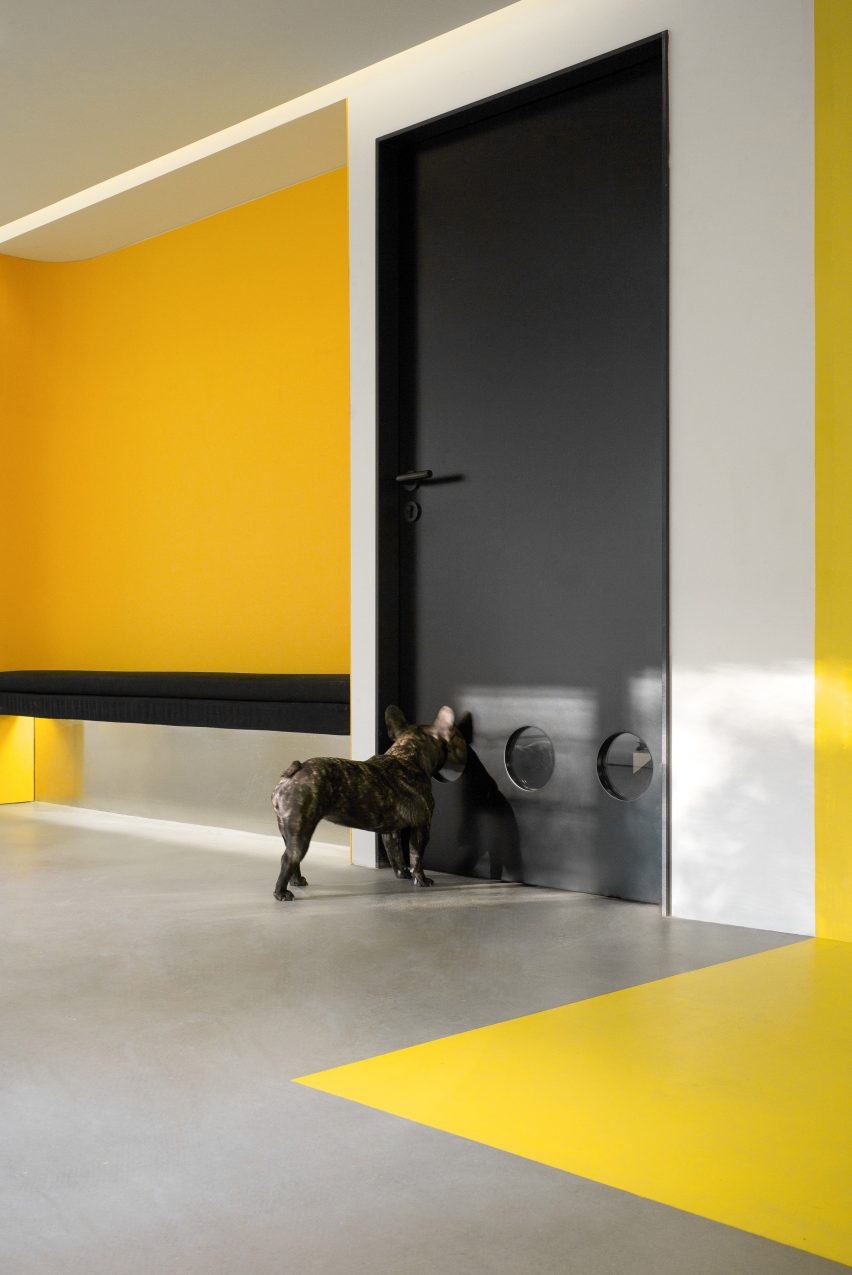 Nova Pets grooming salon by Say Architects