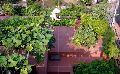 The Red Roof by TAA Design