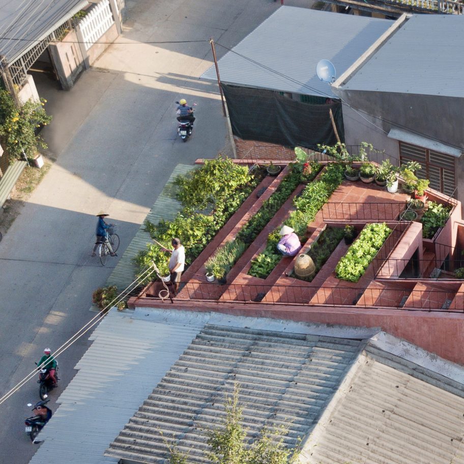 TAA Design tops red house in Vietnam with a stepped vegetable garden