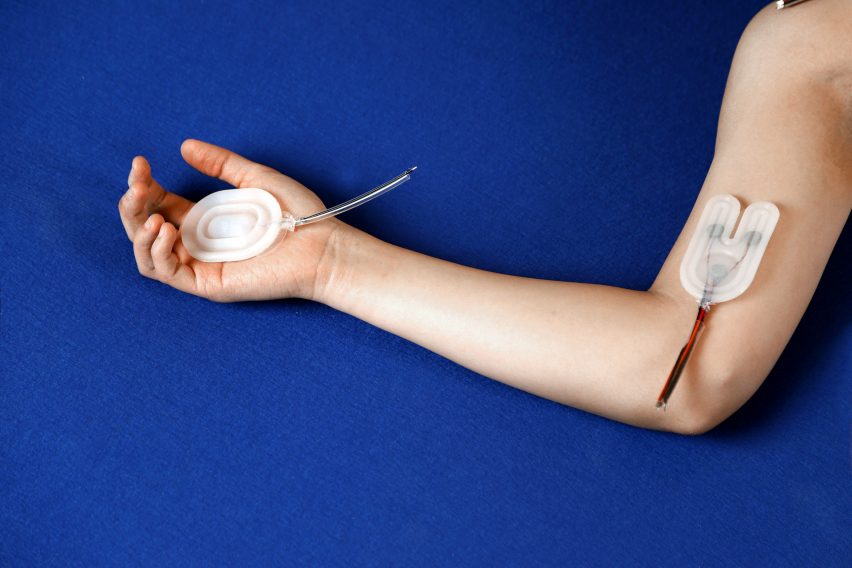 Coby Huang's sex education toys explore what brings us pleasure