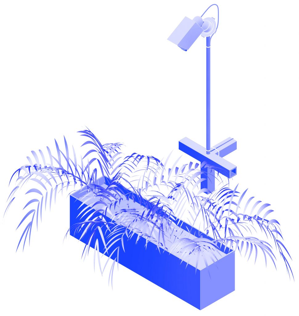 Three Ordinary Funerals by Common Accounts proposal for eco-friendly funeral