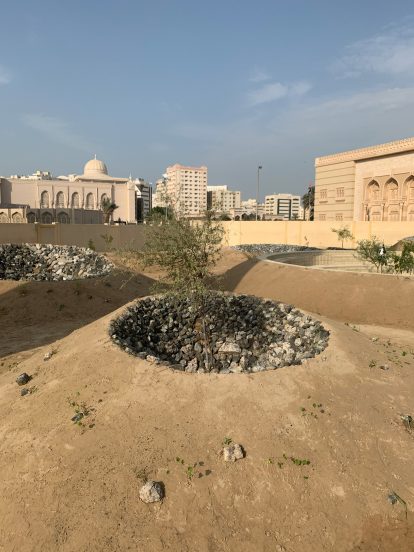 Becoming Xerophile by Cooking Sections and engineer AKII at the Sharjah Architecture Triennial
