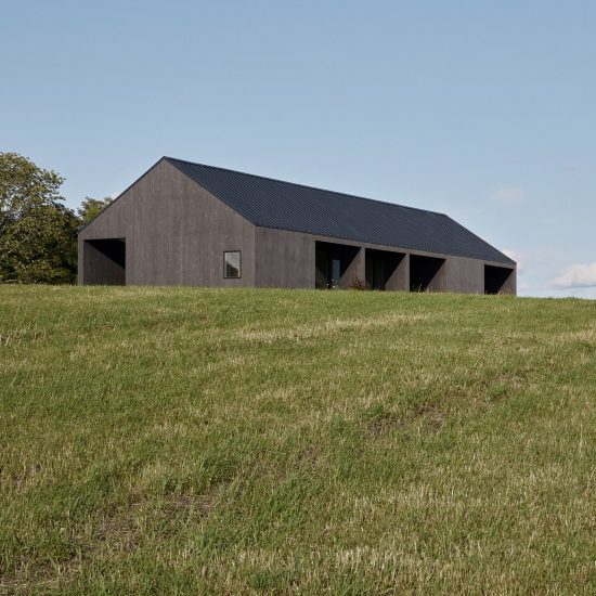 Hass House by Feuerstein Quagliara