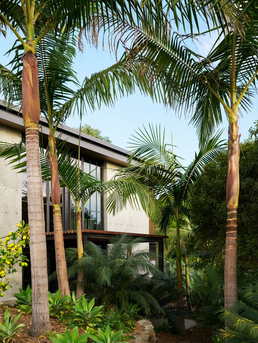 Hollywood Hills by Mutuus Studio