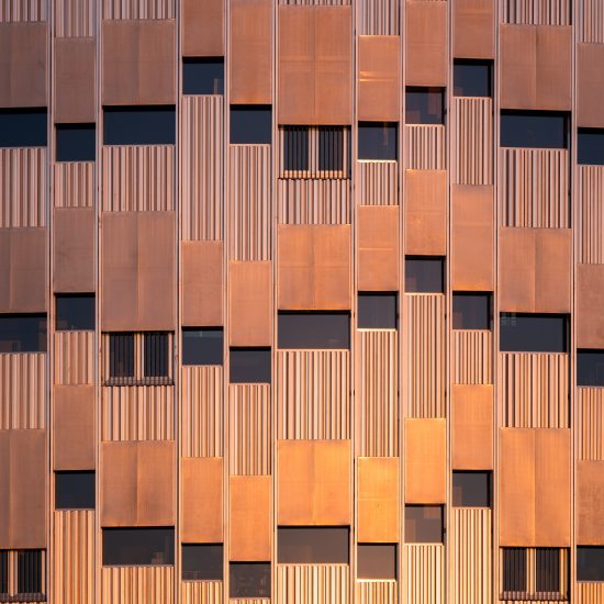 Kalvebod Fælled School by Lundgaard & Tranberg Architects