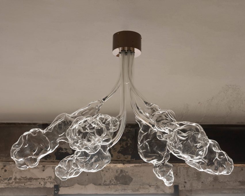 Photo of glassware by Marta Armengol