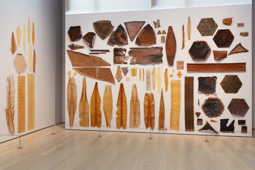 Material Ecology by Neri Oxman MoMA