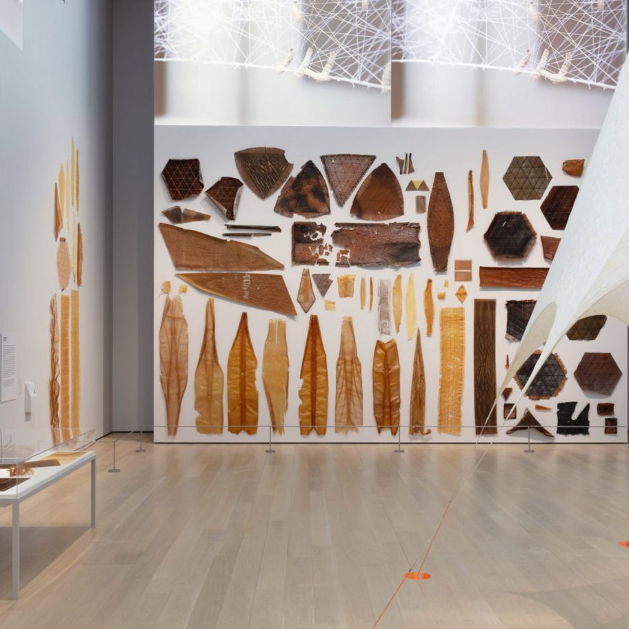 Material Ecology by Neri Oxman MoMA