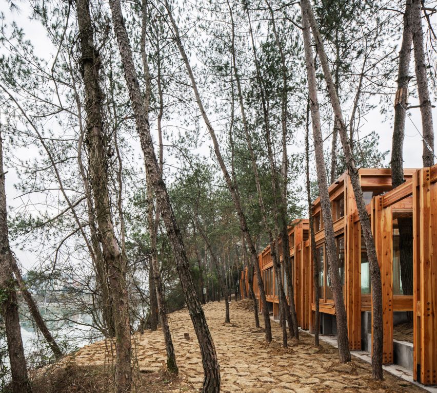 Pine Pavilion by DnA