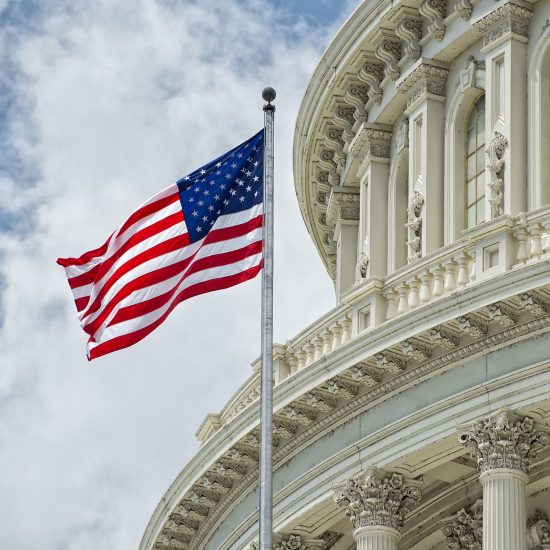 Small architecture firms call for US government help amid the coronavirus crisis