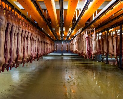 Alastair Philip Wiper, Danish Crown’s Horsens Slaughterhouse, Denmark