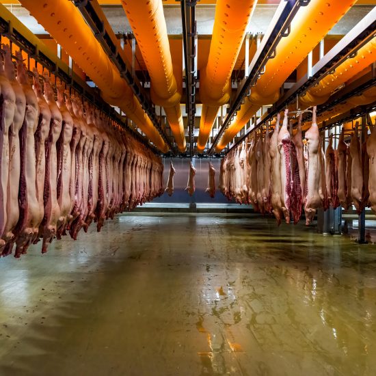 Alastair Philip Wiper, Danish Crown’s Horsens Slaughterhouse, Denmark