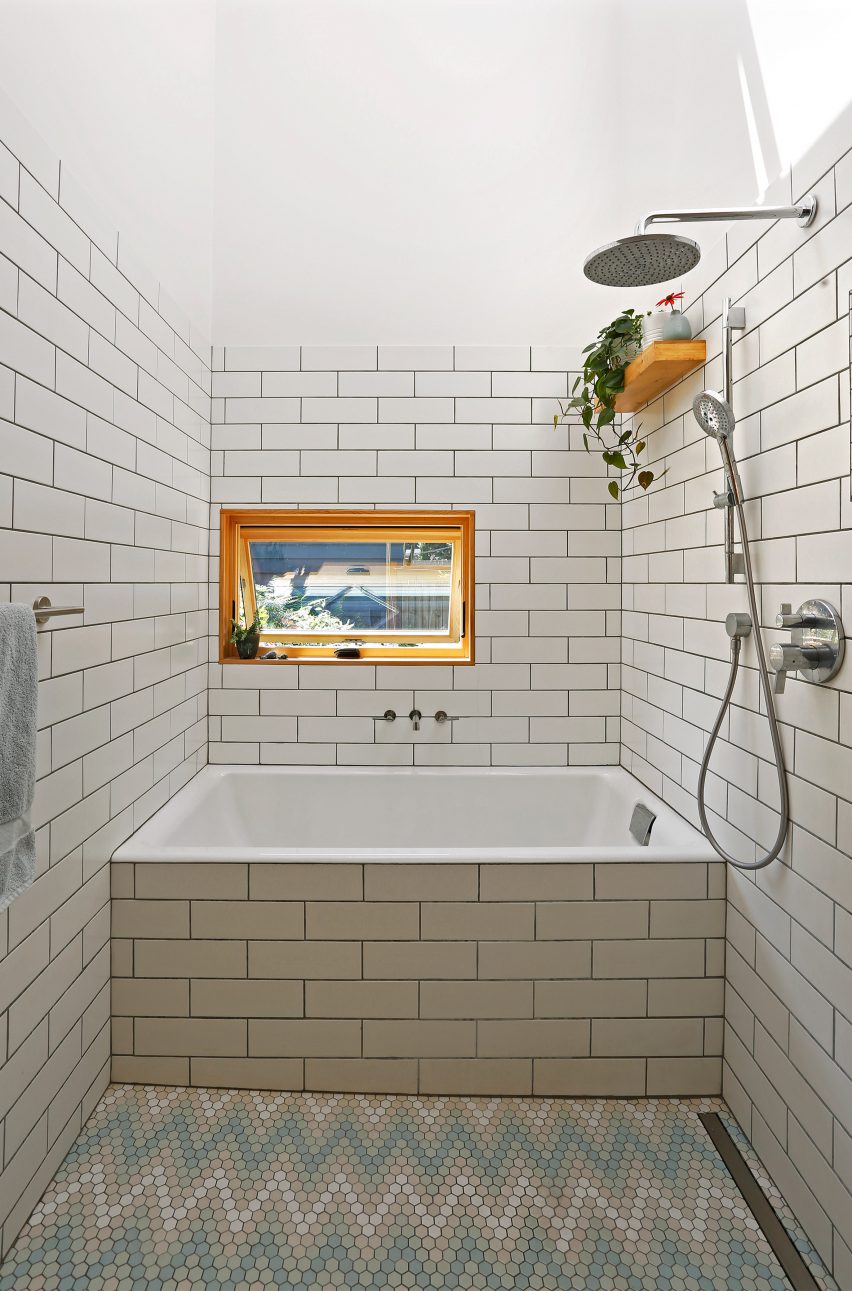 Alley Cat by SHED Architecture and Design