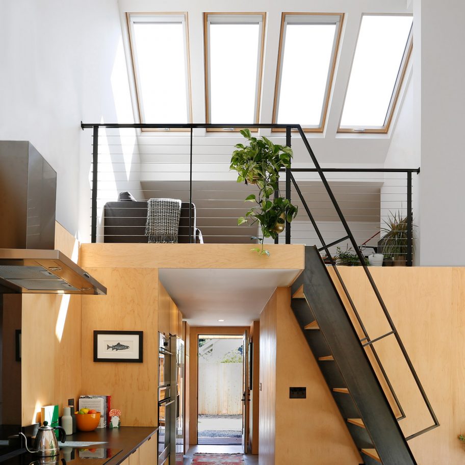 Alley Cat by SHED Architecture and Design