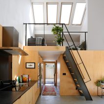 Alley Cat by SHED Architecture and Design