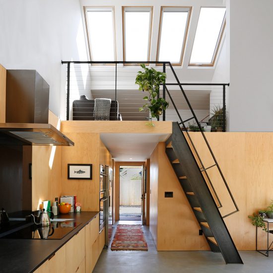 Alley Cat by SHED Architecture and Design