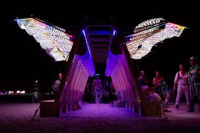 Archaeopteryx at Burning Man 2019