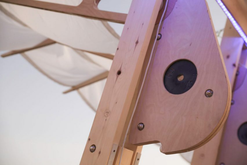 Archaeopteryx at Burning Man 2019