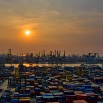 Coronavirus designer supply chains