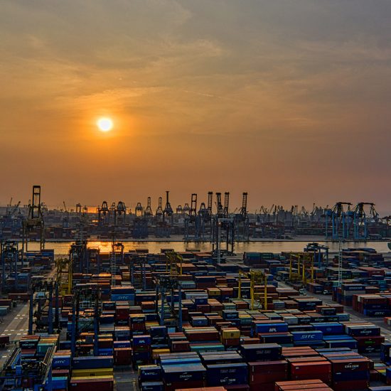 Coronavirus designer supply chains