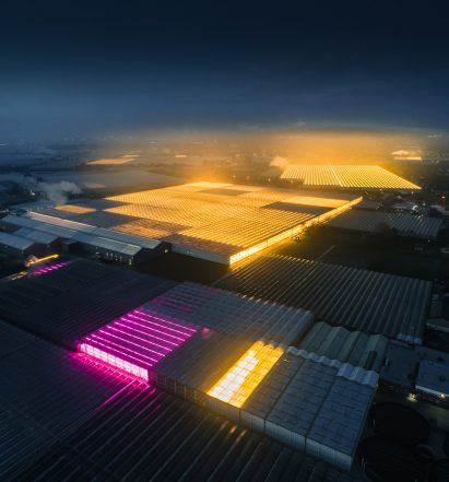 Greenhouses photography series by Tom Hegen