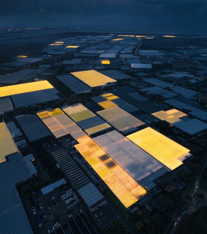 Greenhouses photography series by Tom Hegen