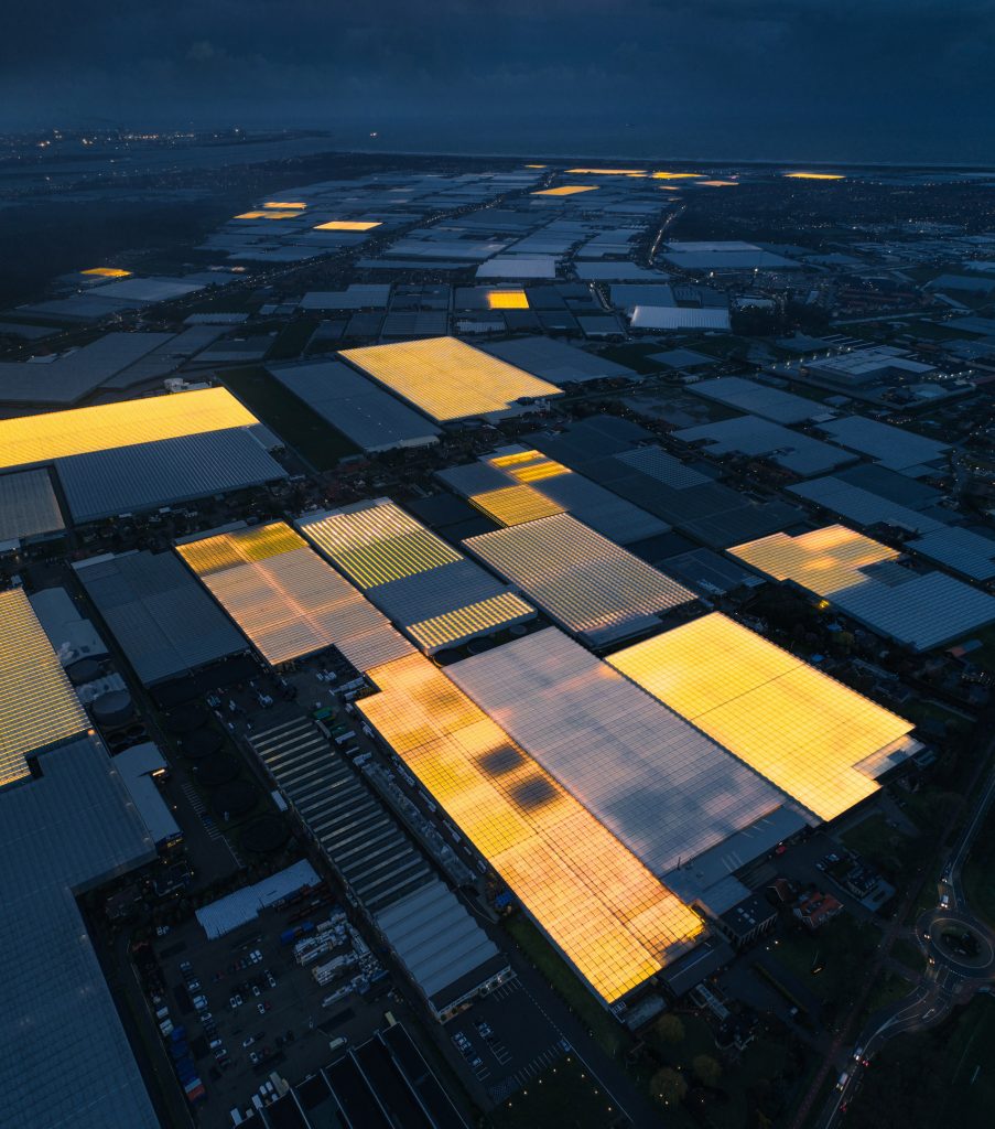 Greenhouses photography series by Tom Hegen