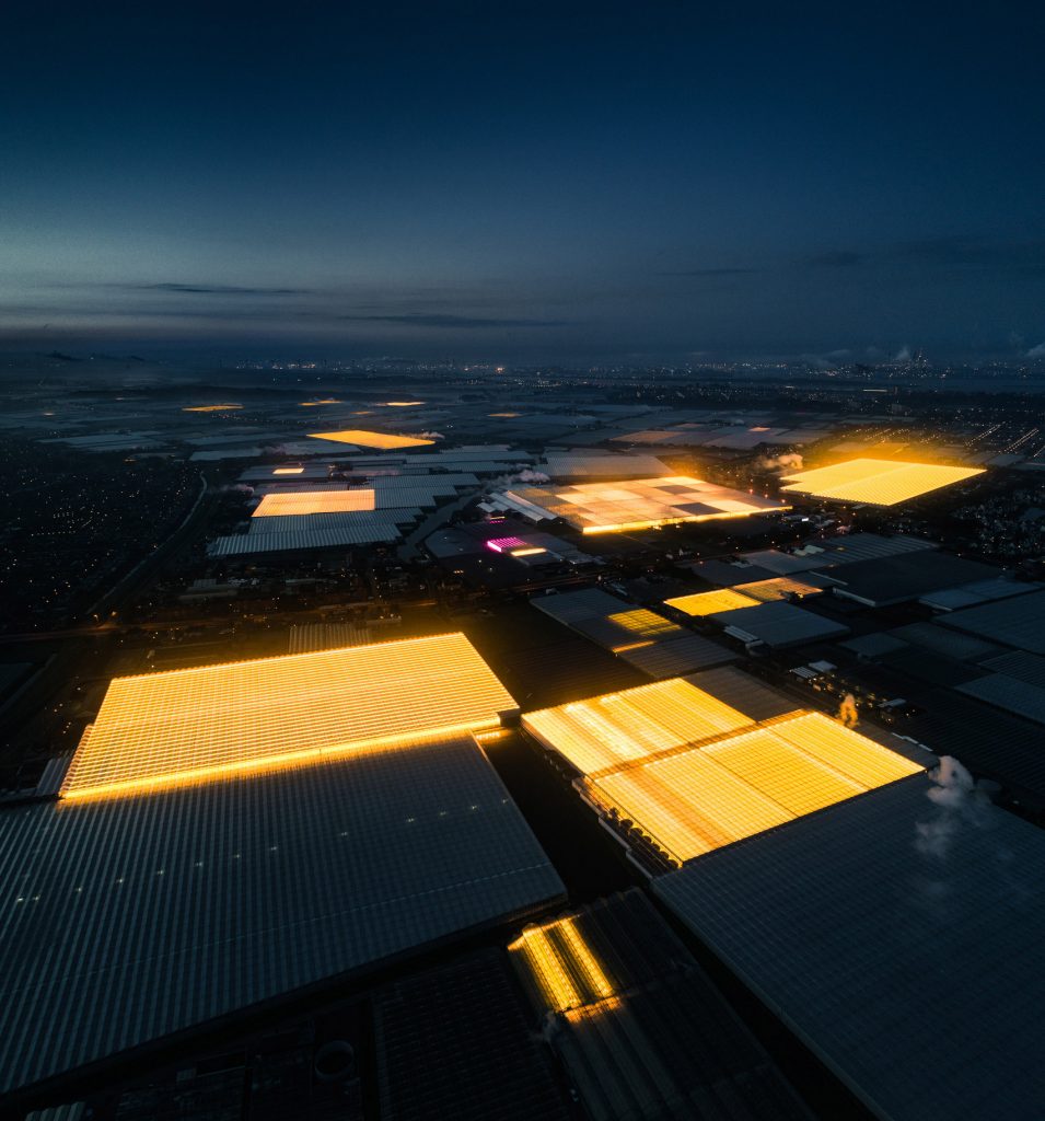 Greenhouses photography series by Tom Hegen