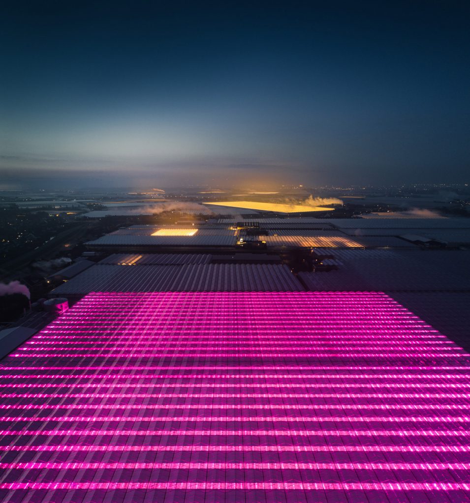 Greenhouses photography series by Tom Hegen